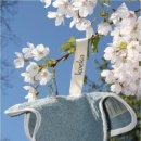 스위트마켓 이미지