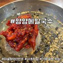 양양막국수 - 양양군 인구길 60 | 2018년부터 9년 연속 미슐랭 선정 서초 카페골목 맛집 양양메밀막국수 내돈내산 후기