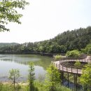 고복자연공원 수변 길 이미지