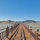 무안황토갯벌랜드 이미지