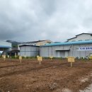 키움농장 이미지