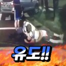 국가대표유도클럽 이미지