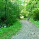 통고산자연휴양림 이미지