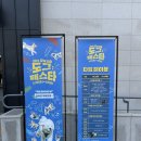 강아지 테마파크 | 춘천 강아지 테마파크 강아지숲 도그페스타 다녀온 후기