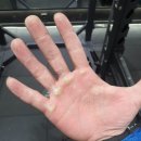 프로틴짐 이미지