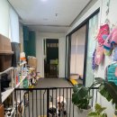 댕댕타임 이미지