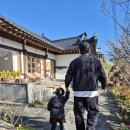 너울쉼터 | 속초 아이랑 카페 한옥 감성 너울집 카페