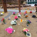 계백로(유등교-서대전네거리) 이미지