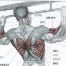 드림바디 휘트니스 이미지