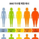 비만도 계산 여자 남자 체지방률 이미지