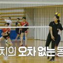 독스 윙스 이미지