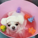 금오동물병원 이미지