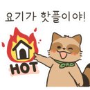 미진축산강릉교동점 이미지