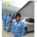 철원고구마 이미지