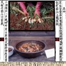 11305-16-683-1 | 공자는 진저리쳤지만…조선에선 ‘부인=흰떡, 여종=묵은김치’ 농담 통했다