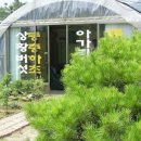 계숙농장 Daum카페