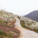 대화농장 이미지