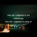 Michael Bolton - How Am I Supposed To Live Without You 이미지