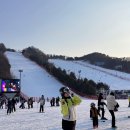 황금로 23번길 | 실수로 너무 열심히 살았다! 나는 지금 겨울나기 중