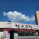 황소고집 이미지