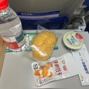 산동카 | 중국 칭다오항공권 가격 할인 산동항공 좌석 기내식 이용후기