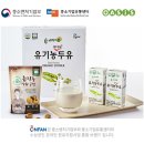 오아시스 이미지