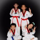 찬란한 태권도 이미지