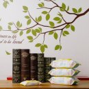 순둥이유치원 이미지