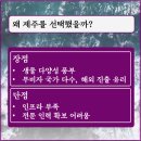 (주)대한뷰티산업진흥원 | [기업탐방 | episode 5:(주)대한뷰티산업진흥원]