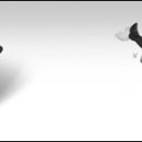 해사공사노동조합 이미지