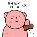 나이스캠핑