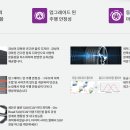 타이어판다 이미지