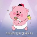 캠핑 컴퍼니