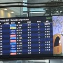 가오목장2 | ✨겨울휴가✨- 제주도편