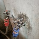 성일세탁 이미지