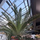 야자수 | 안산 베이커리 카페 추천, <야자수 브런치 베이커리 카페> 아이랑 다녀온 후기!