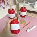 코바늘의 여유 | [코바늘] 둥둥뜨개 럭키허그버킷백 DIY KIT 토마토레드 S사이즈 내돈내산 후기