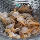 고성냉동수산