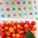 서호농장 이미지