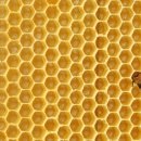 손톱예술 이미지