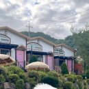 어서오시개냥 애견펜션 이미지