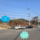 선산대로 이미지