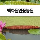 은준농장 이미지