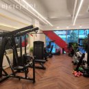 바디 디자인 이미지