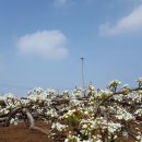 한우물농장 이미지