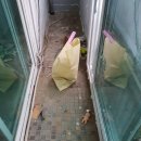 화서맨션 이미지