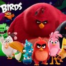 국가대표 탑태권도장 이미지