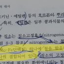 질소고정효소 이미지