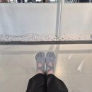 좌동순환로 | 해운대 좌동 온리바레 필라테스 인생 첫 바레 찐 후기