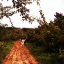 계남초교 이미지